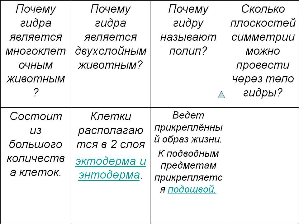 Кракен правила площадки