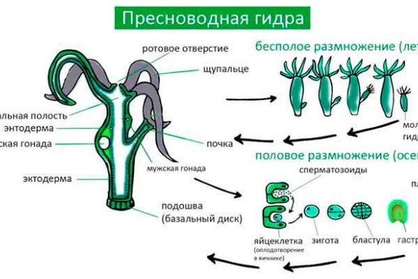 Кракен даркнет только через торг