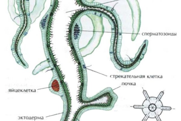 Значок кракена маркетплейса