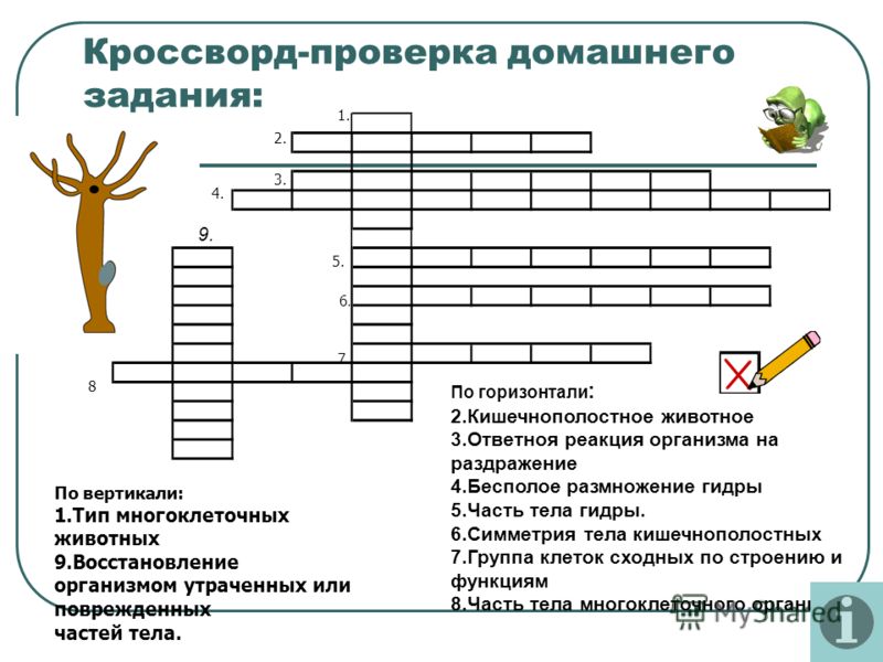 Kraken магазин